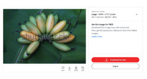 Jualan foto pisang yang laku di Shutterstock