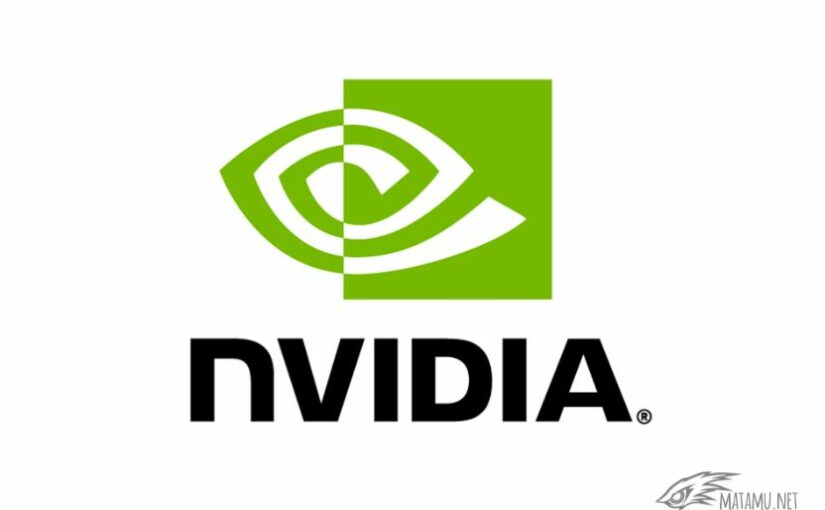 VGA NVIDIA